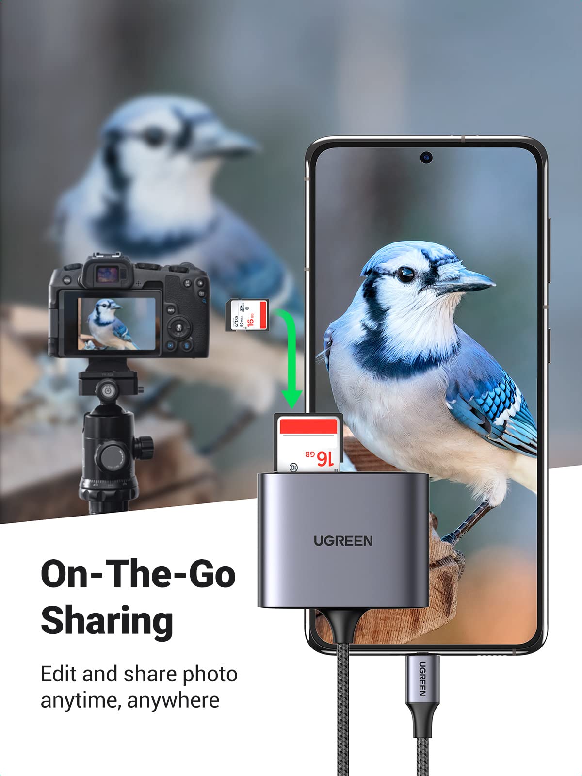 mousebows 3-in-1 USB C SD Card Reader