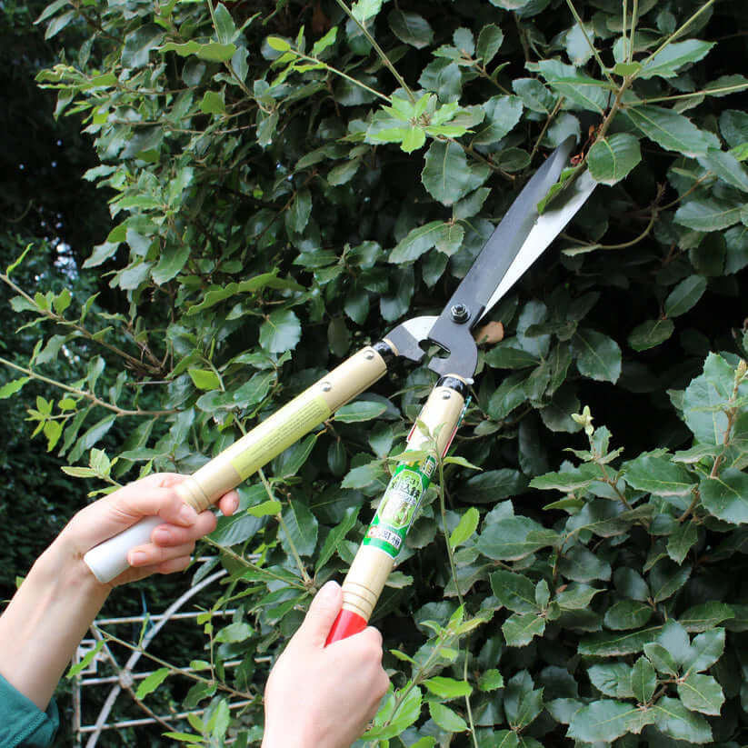 Okatsune 231 Hedge Shears