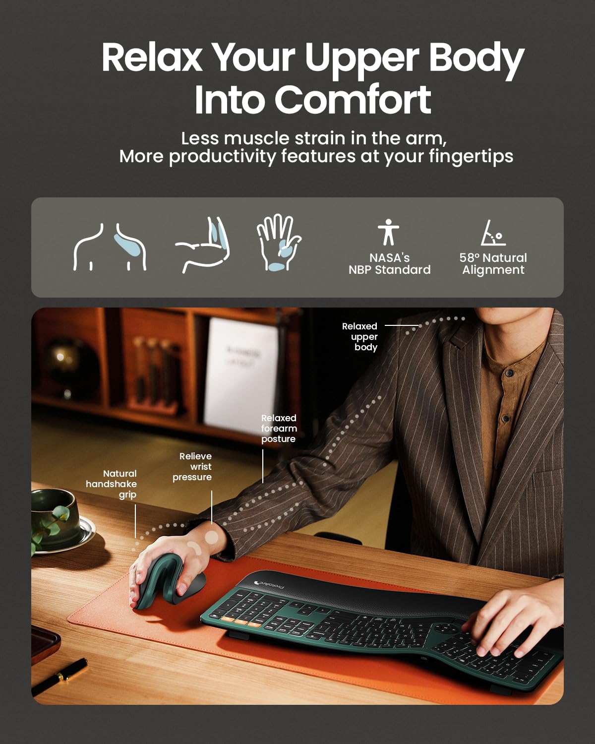 ProtoArc Ergonomic Mouse, EM11 NL Bluetooth Rechargeable Wireless Vertical Mouse, 3 Multi-Device Connectivity for Computer/PC/Laptop, 2.4GHz USB-A Optical Mice for Windows, Mac OS, Green