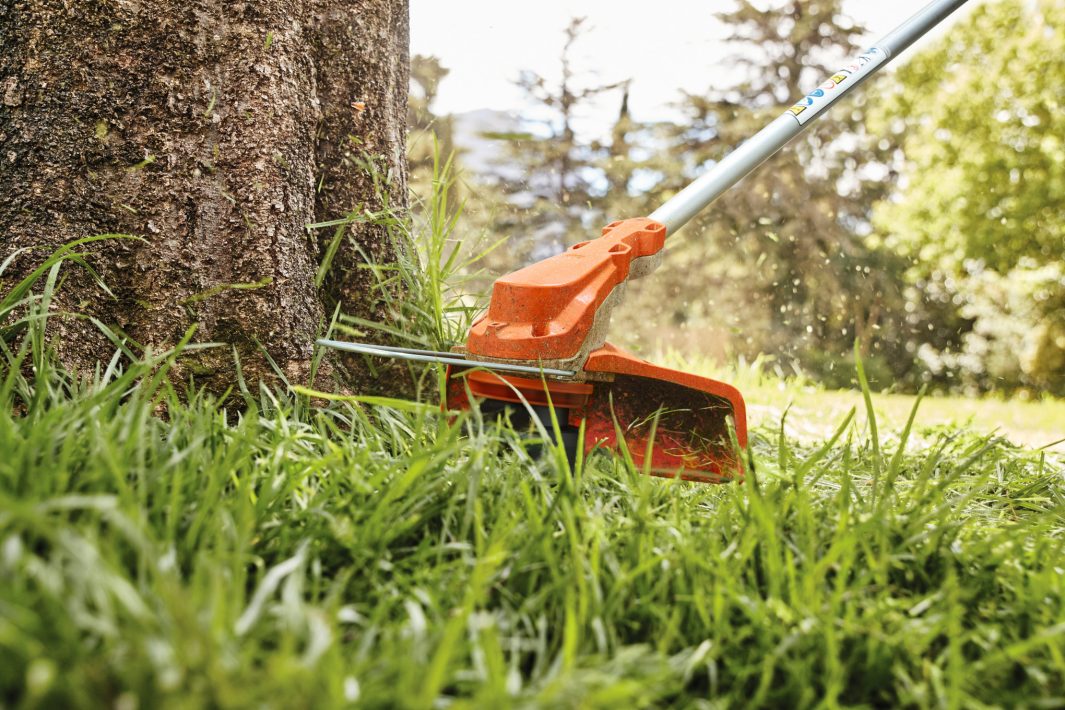 FSA 60 R Cordless Strimmer