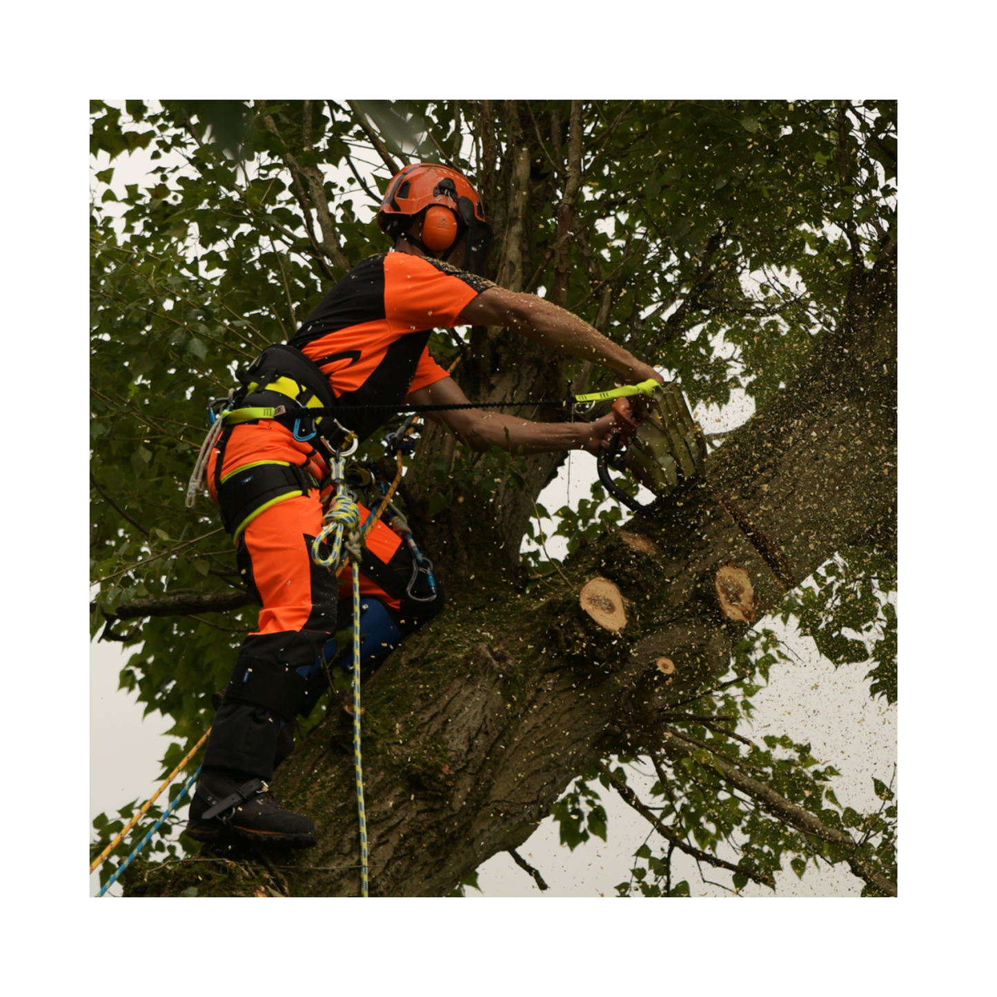 Sentinel Chainsaw Trousers Type A Orange