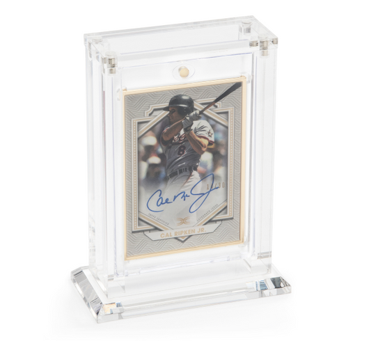 1 Card Vertical Magnetic Holder - Shop at mousebows
