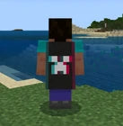 2024 Minecraft TikTok Cape Code [RARE] 🚨 Bedrock & Java  🎮 Fast Delivery ⏳⚡