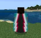 2024 Minecraft TikTok Cape Code [RARE] 🚨 Bedrock & Java  🎮 Fast Delivery ⏳⚡