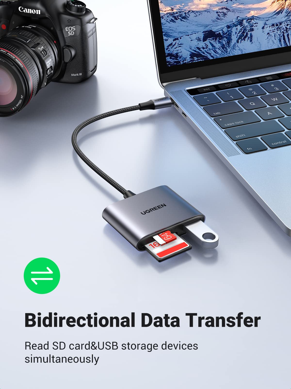 mousebows 3-in-1 USB C SD Card Reader